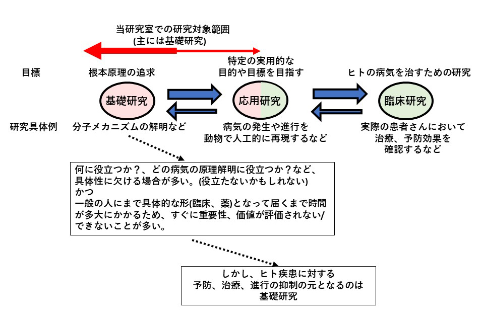 図4. 基礎研究の重要性