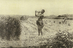 fig3