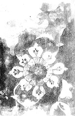 fig9