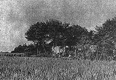 fig2