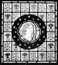 fig7