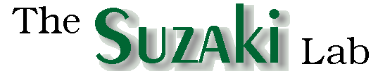 The Suzaki Lab