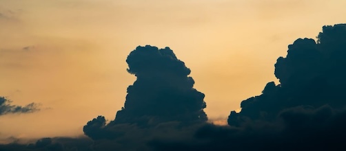 Stacks Image 38