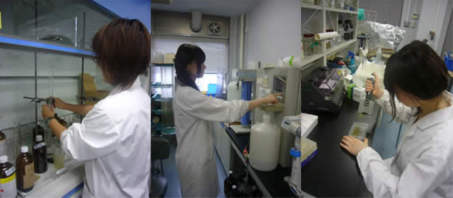Laboratory landscape