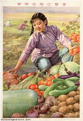 fig79