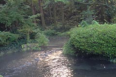 photo17
