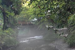 photo19