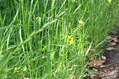 photo33