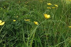 photo34