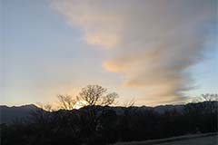 photo39