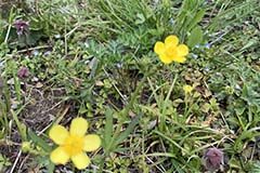 photo47