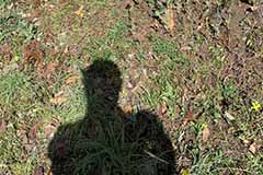 photo114