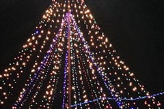 photo3