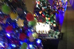 photo11