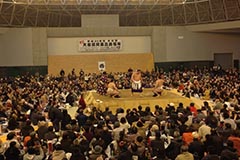 photo16