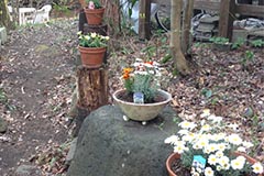 photo32