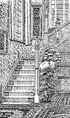 fig7