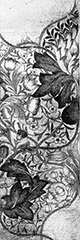 fig11