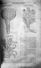 fig25