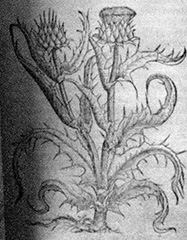 fig26