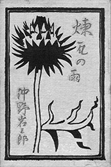 fig27