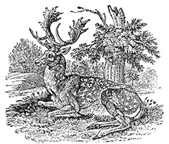 fig15