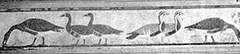 fig29