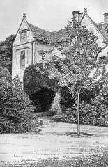 fig7