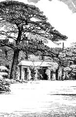 fig1