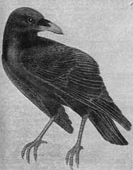 fig7