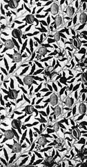 fig3
