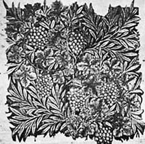 fig7