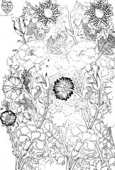 fig16